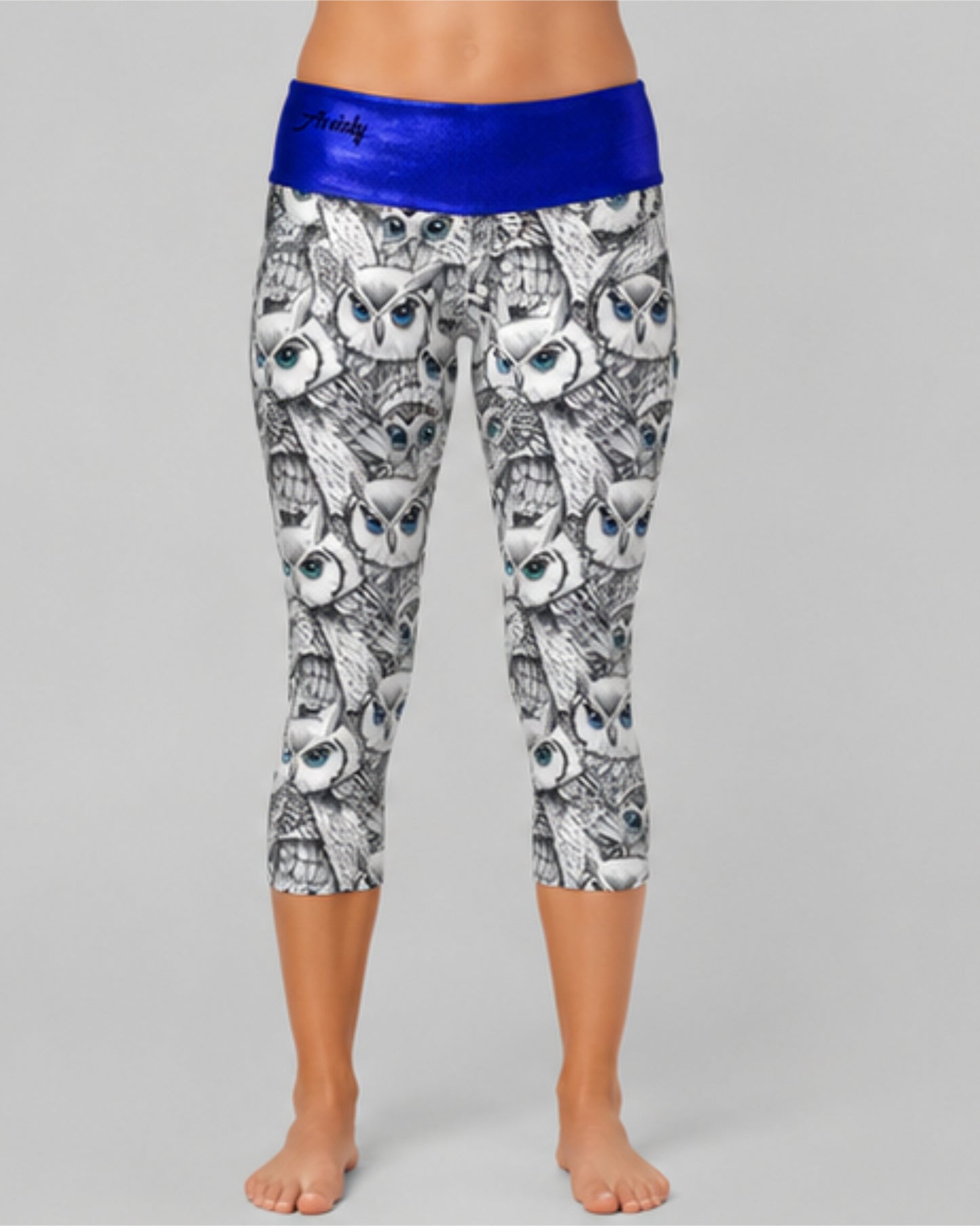 Blue Owl